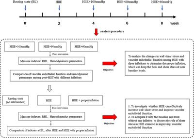 Acute effect of high-intensity interval exercise on vascular endothelial function and possible mechanisms of wall shear stress in young obese males